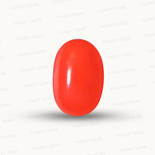 Red Coral Japanese – Natural Moonga for Strength 7.60 CT