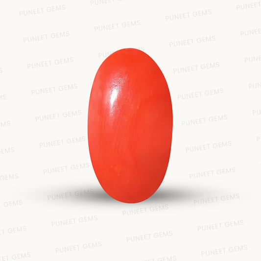 Natural Red Coral (Moonga) – Italy Origin – Certified & Untreated Gemstone for Mars Energy 7.76 CT
