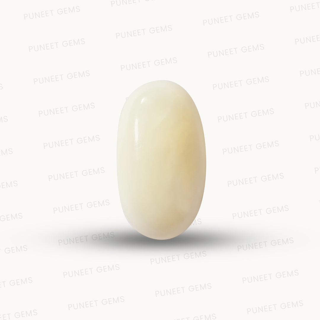 Natural White Coral Gemstone – The Gem of Strength, Vitality & Protection 7.85 CT