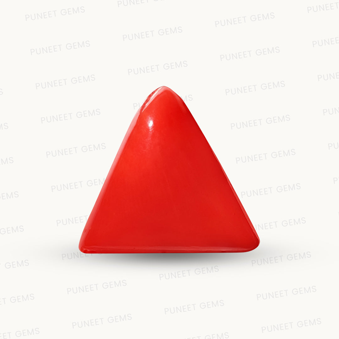 Natural Triangle Coral – The Gem of Strength, Vitality & Protection 7.88 CT