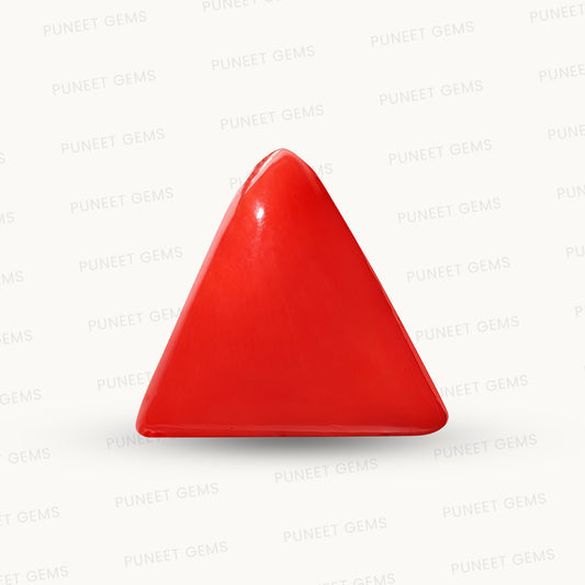 Natural Triangle Coral – The Gem of Strength, Vitality & Protection 7.88 CT