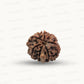 Natural 7 Mukhi Ganesh Rudraksha – Wealth, Wisdom & Obstacle Removal