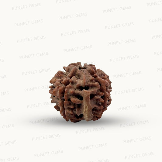Natural 5 Mukhi Ganesh Rudraksha – Wisdom, Protection & Spiritual Success
