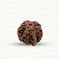 Natural 5 Mukhi Ganesh Rudraksha – Wisdom, Protection & Spiritual Success