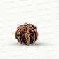 Natural 6 Mukhi Ganesh Rudraksha – Willpower, Wisdom & Obstacle Removal