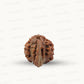 Natural 6 Mukhi Ganesh Rudraksha – Willpower, Wisdom & Obstacle Removal