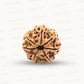 Natural 7 Mukhi Rudraksha – Wealth, Protection & Saturn Relief
