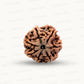 Natural 7 Mukhi Rudraksha – Wealth, Protection & Saturn Relief