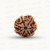 Natural 7 Mukhi Rudraksha – Wealth, Protection & Saturn Relief