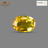 Natural Bangkok Yellow Sapphire (Pukhraj) 3.57 Ct – Certified Gemstone