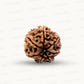 Natural 7 Mukhi Rudraksha – Wealth, Protection & Saturn Relief