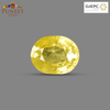 Natural Bangkok Yellow Sapphire (Pukhraj) 3.05 Ct – Certified Gemstone
