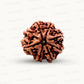 Natural 8 Mukhi Rudraksha – Symbol of Success & Wisdom