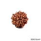 Natural 8 Mukhi Rudraksha – Symbol of Success & Wisdom