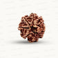 Natural 8 Mukhi Rudraksha – Symbol of Success & Wisdom