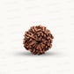 Natural 8 Mukhi Rudraksha – Symbol of Success & Wisdom