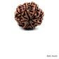Natural 8 Mukhi Rudraksha – Symbol of Success & Wisdom