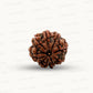Natural 8 Mukhi Rudraksha – Symbol of Success & Wisdom