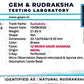 Nepali 12 Mukhi Gauri Shankar Rudraksha
