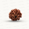 Natural 8 Mukhi Rudraksha – Symbol of Success & Wisdom