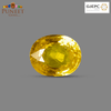 Natural Bangkok Yellow Sapphire (Pukhraj) 6.94 Ct – Certified Gemstone