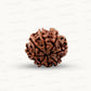 Natural 8 Mukhi Rudraksha – Symbol of Success & Wisdom