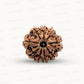 Natural 9 Mukhi Rudraksha – The Bead of Power, Courage & Divine Energy