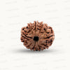 Natural 9 Mukhi Rudraksha – The Bead of Power, Courage & Divine Energy