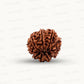 Natural 9 Mukhi Rudraksha – The Bead of Power, Courage & Divine Energy