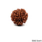 Natural 9 Mukhi Rudraksha – The Bead of Power, Courage & Divine Energy