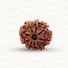 Natural 9 Mukhi Rudraksha – The Bead of Power, Courage & Divine Energy