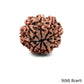 Natural 9 Mukhi Rudraksha – The Bead of Power, Courage & Divine Energy