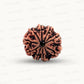 Natural 9 Mukhi Rudraksha – The Bead of Power, Courage & Divine Energy