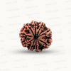 Natural 9 Mukhi Rudraksha – The Bead of Power, Courage & Divine Energy