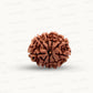 Natural 9 Mukhi Rudraksha – The Bead of Power, Courage & Divine Energy