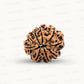 Natural 9 Mukhi Rudraksha – The Bead of Power, Courage & Divine Energy