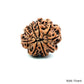 Natural 9 Mukhi Rudraksha – The Bead of Power, Courage & Divine Energy