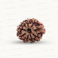 Natural 9 Mukhi Rudraksha – The Bead of Power, Courage & Divine Energy
