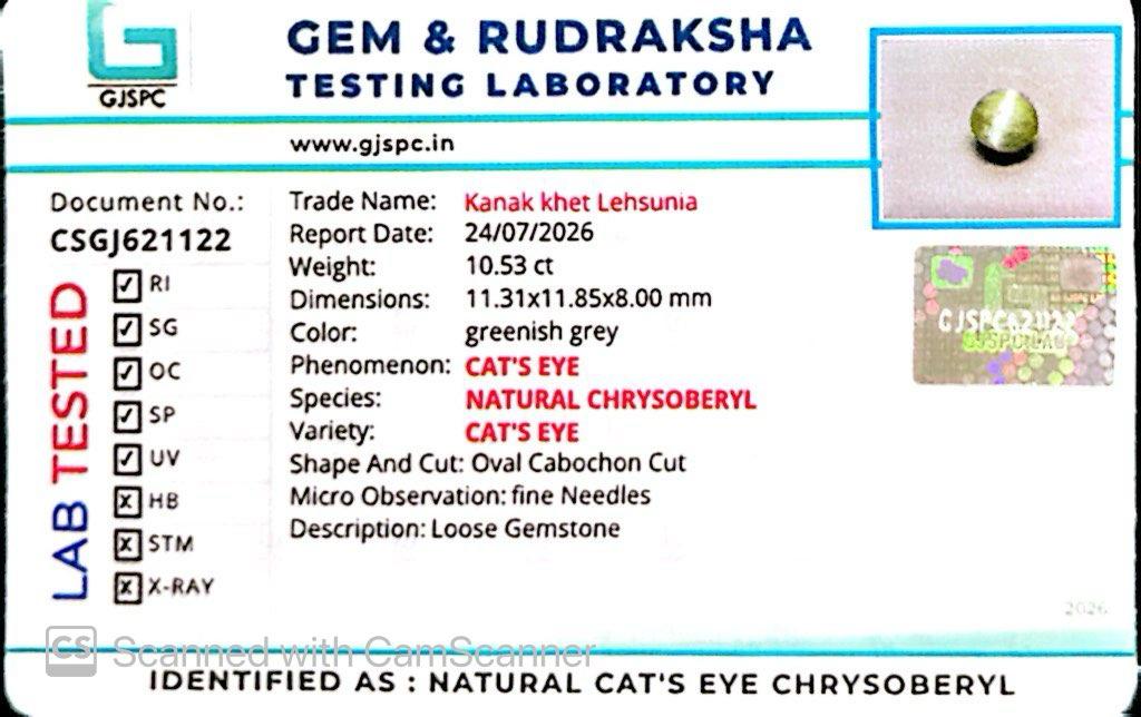 Natural Cat’s Eye Gemstone (Lehsunia) – Protection, Intuition & Ketu’s Power 10.53 CT