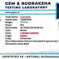Nepali 5 Mukhi Ganesh Rudraksha