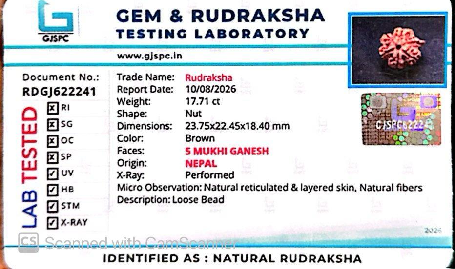 Nepali 5 Mukhi Ganesh Rudraksha