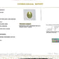 Natural Cat's Eye (Lehsunia) 7.34 CT - Certified