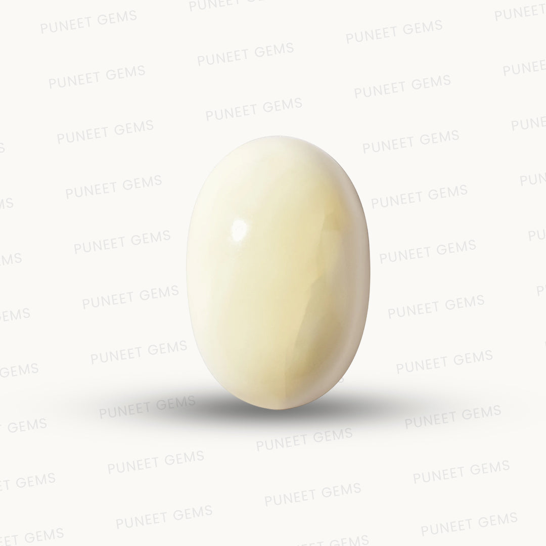 Natural White Coral Gemstone – The Gem of Strength, Vitality & Protection 8.15 CT