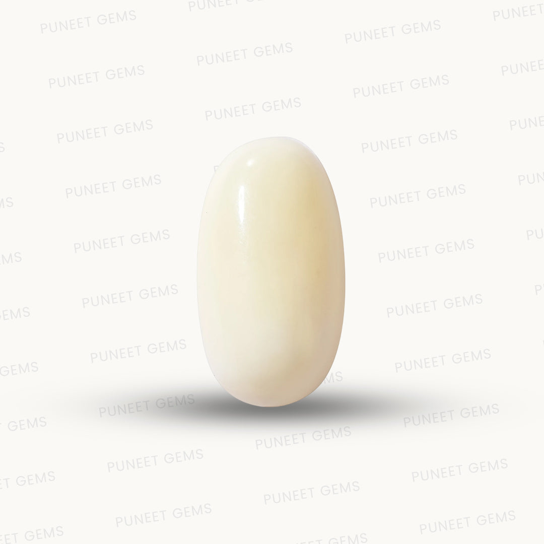 Natural White Coral Gemstone – The Gem of Strength, Vitality & Protection 8.39 CT