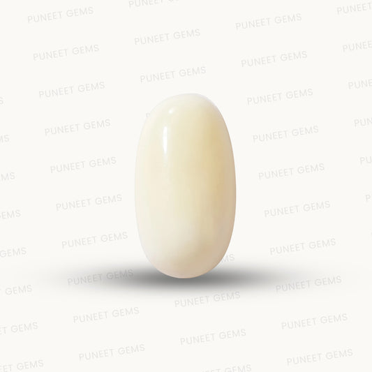 Natural White Coral Gemstone – The Gem of Strength, Vitality & Protection 8.39 CT