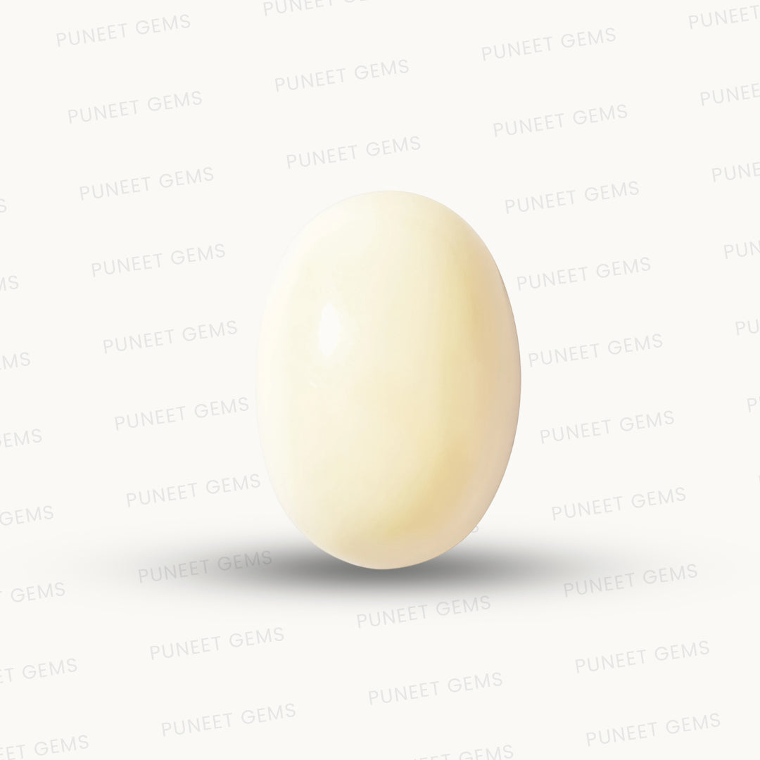 Natural White Coral Gemstone – The Gem of Strength, Vitality & Protection 8.40 CT