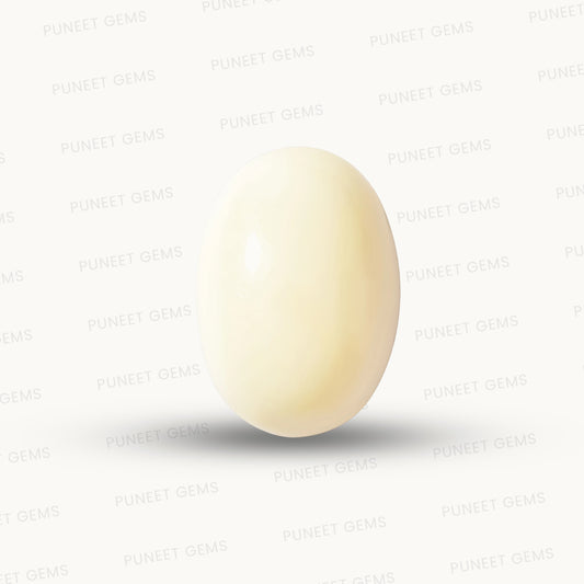Natural White Coral Gemstone – The Gem of Strength, Vitality & Protection 8.40 CT