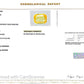 Natural Yellow Sapphire (Pukhraj) 8.53 Ct – Certified Premium Gemstone
