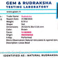 🌿 14 Mukhi Nepali Rudraksha (Natural & Certified). Super collective