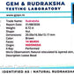 🌿 14 Mukhi Nepali Rudraksha (Natural & Certified). Super collective